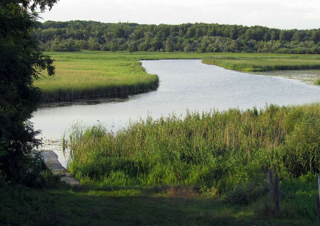 Стара Чортория - Стара Чортория