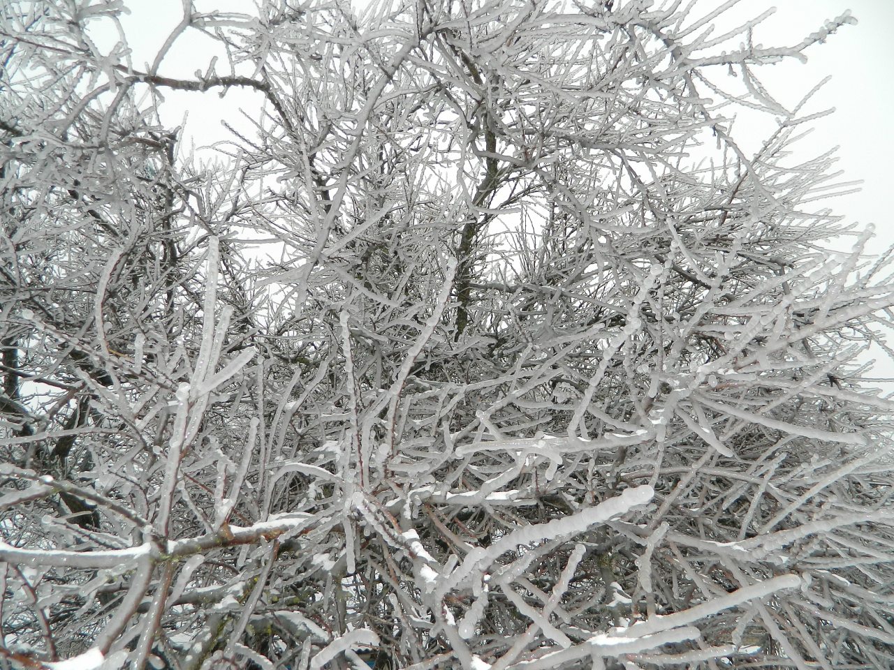 Молодёжь - Великий Выселок