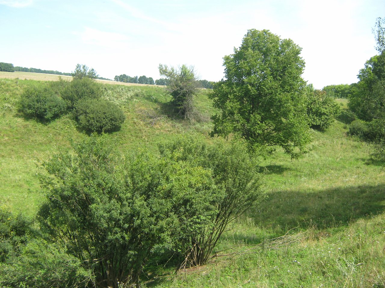 с. Петровка 2009 г. - Петрівка