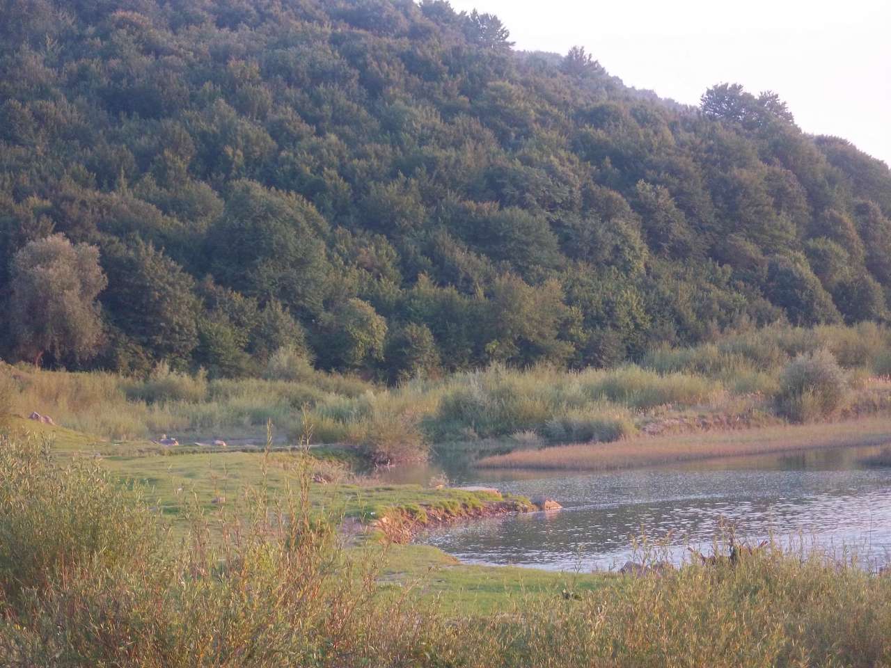 краєвиди Медині - Мединя