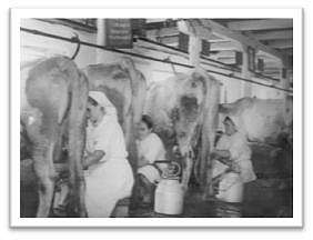 Старі фото - Коровія