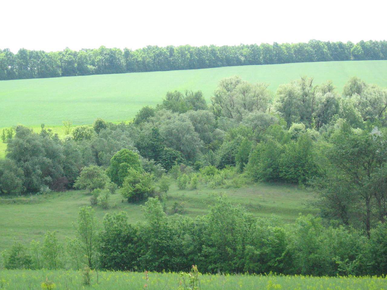 Савчине - Савчине