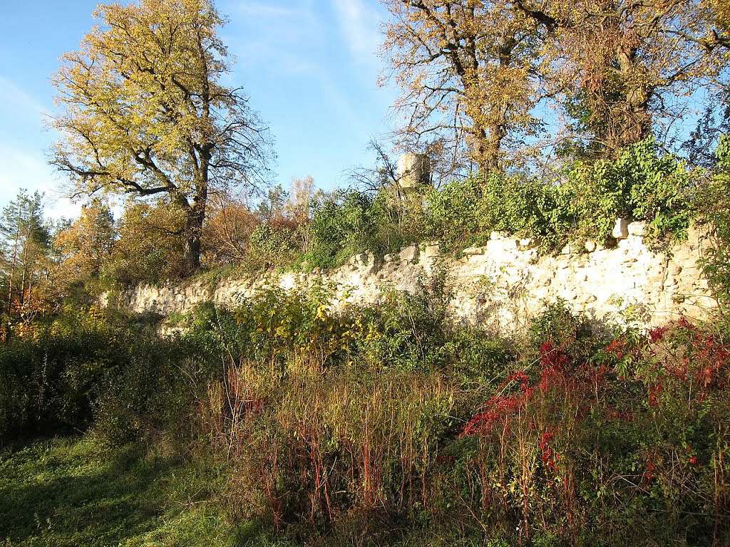 Моє село - Старий Олексинець