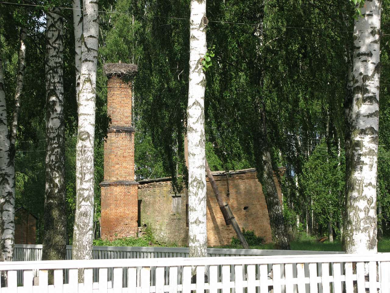 Дриглів - Дриглів