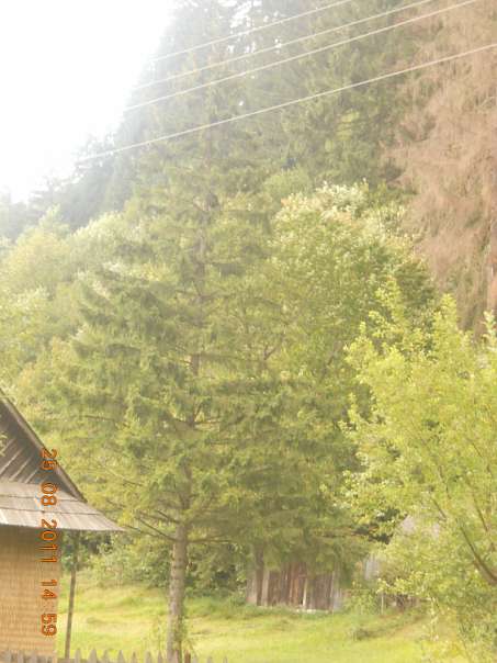 Верхній Бистрий - Верхній Бистрий