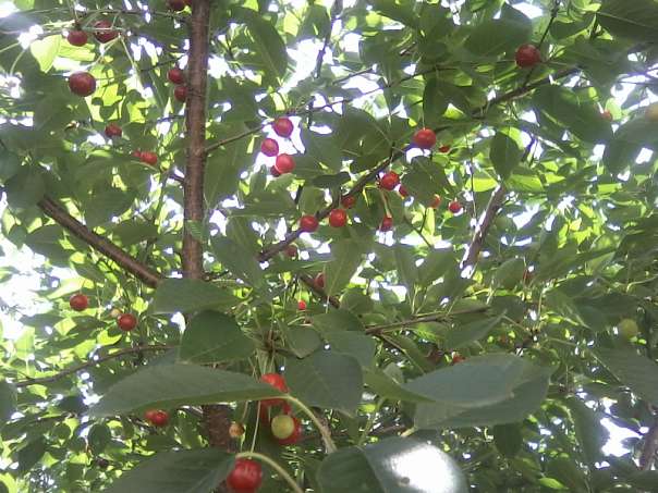 Верхній Бистрий - Верхній Бистрий