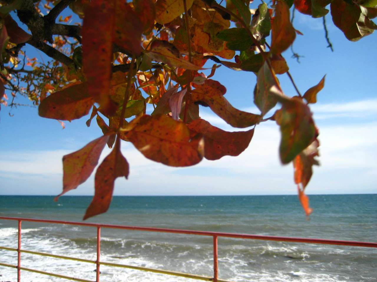 Краски осени Семидворья - Семидвір'я