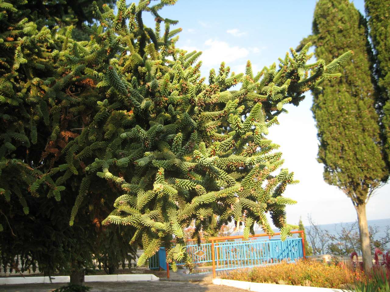 Краски осени Семидворья - Семидвір'я