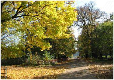 Моє село - Старий Олексинець