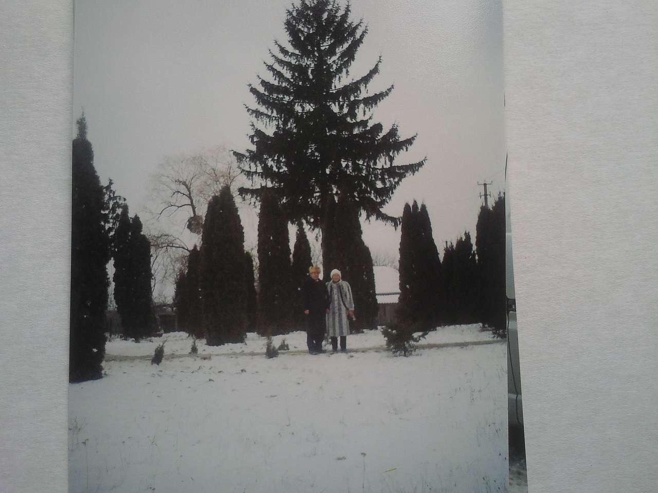 село Рахнівка - Рахнівка