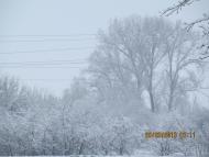 Весна прийшла