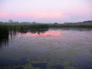 Любарські світанки