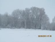 Весна прийшла