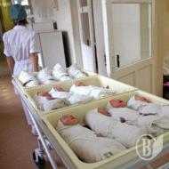 Тиниця в інтернеті