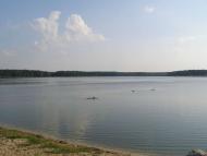 c. Сущанка природа