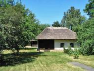 Чорнухи в інтернеті