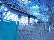 Нестюки в інтернеті