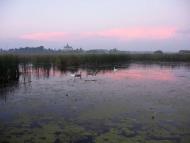 Любарські світанки