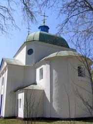 Шандра в інтернеті