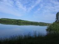 Стара Синява в інтернеті