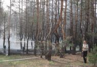 Тернівка в інтернеті