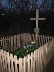 Пагурці в інтернеті