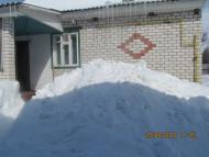 Весна прийшла