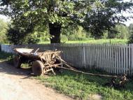 Рідні оку краєвиди