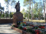 місто Ірпінь