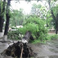 Євминка в інтернеті