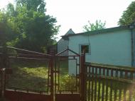 Шандра в інтернеті