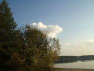 c. Сущанка природа