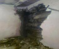 Трушівці в інтернеті