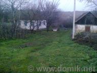 Шандра в інтернеті