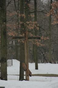 місто Ірпінь