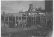 Пагурці в інтернеті