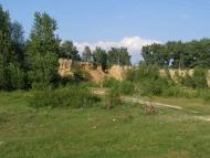 c. Сущанка природа