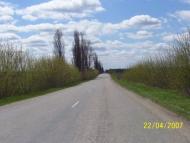 Шандра в інтернеті