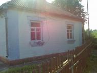 Шандра в інтернеті