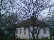 Шандра в інтернеті