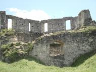 Дмухівці в інтернеті