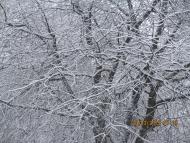 Весна прийшла