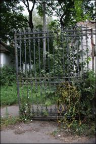 Тиниця в інтернеті