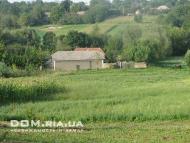 Рукшин в інтернеті