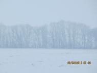 Весна прийшла