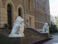 Лужани в інтернеті