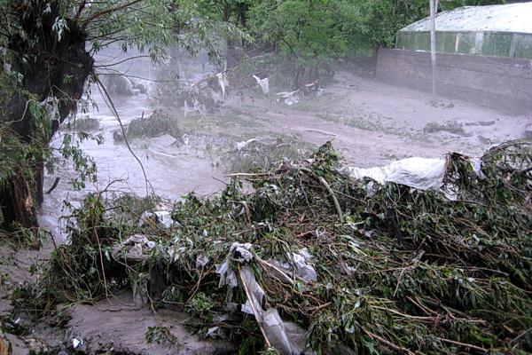 Шупарка в інтернеті - Шупарка