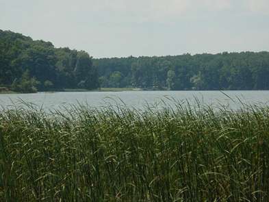 cЛисівка-природа - Лысовка