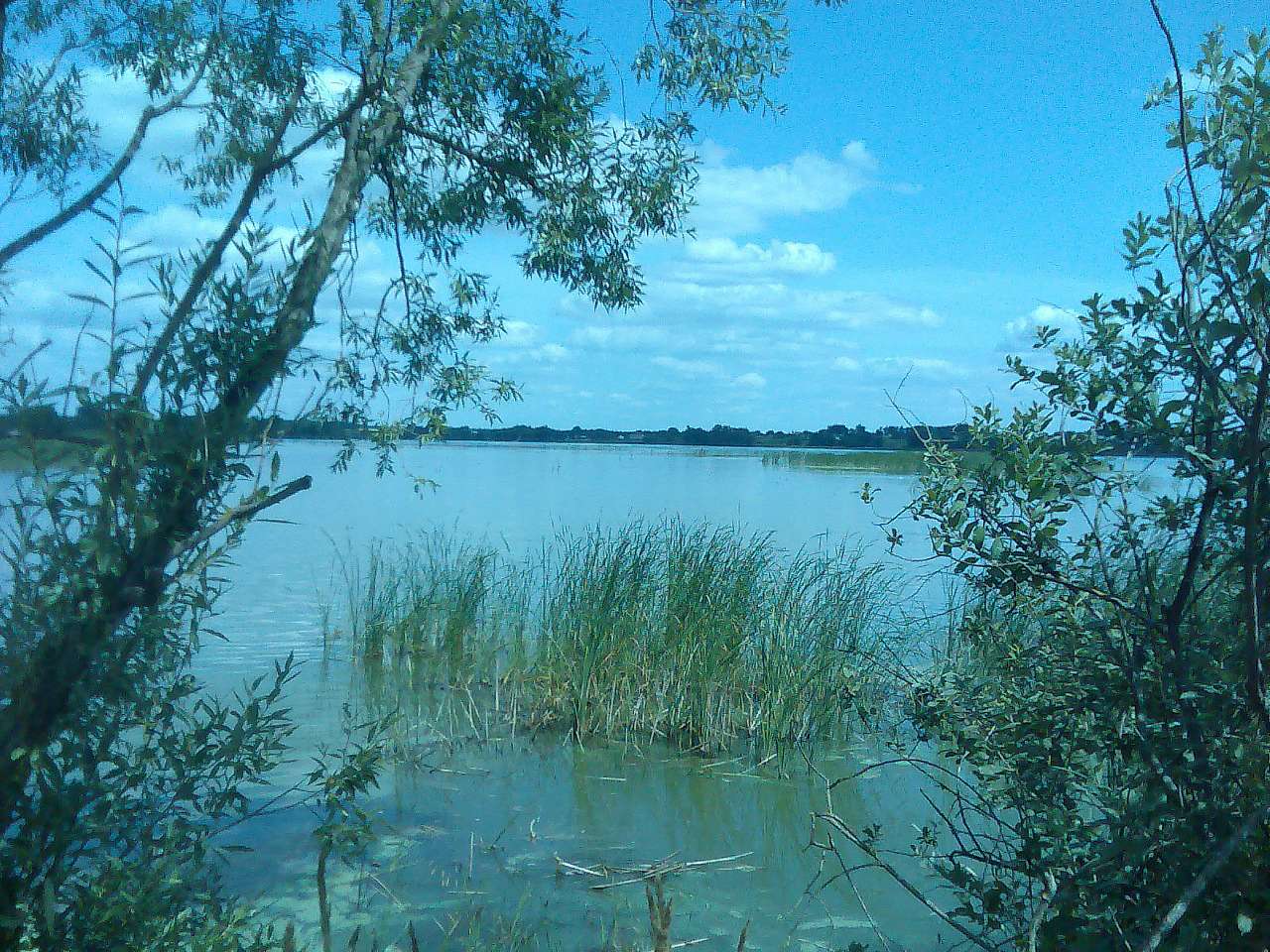 Краєвиди села. - Саверці