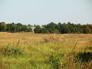 cЛисівка-природа - Лисівка